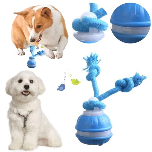 CRGANGZY Interaktive Hundespielzeuge Ball Aktive rollende Hundebälle zur Beschäftigung, intelligenter automatischer beweglicher Ball for kleine Hunde, selbstspielender Springender Hundeball von CRGANGZY