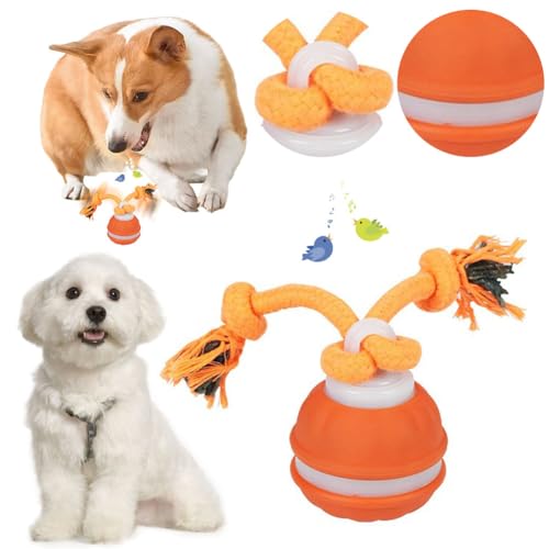 CRGANGZY Interaktive Hundespielzeuge Ball Aktive rollende Hundebälle zur Beschäftigung, intelligenter automatischer beweglicher Ball for kleine Hunde, selbstspielender Springender Hundeball von CRGANGZY