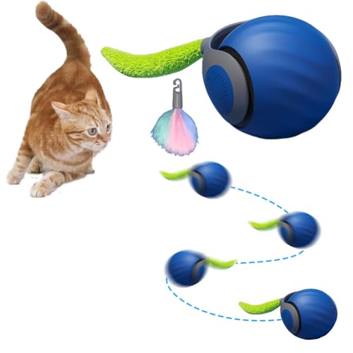 CRGANGZY Katzenspielzeug 2025 Neu Magic Ball Hund, Interaktives Hund Katzen Spielzeug Ball Elektrisch Katzenball Katzenspielzeug Selbstbeschäftigung mit Ersatzschwanz CRGANGZY Katzenspielzeug 2025 Neu Magic Ball Hund, Interaktives Hund Katzen Spielzeug Ball Elektrisch Katzenball Katzenspielzeug Selbstbeschäftigung mit Ersatzschwanz von CRGANGZY