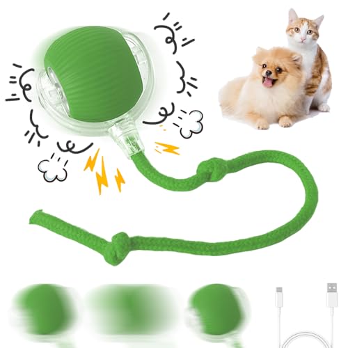 CRGANGZY Interaktives Katzenspielzeug Katzenball, Elektrisch Katzenspielzeug Katzenball mit USB Aufladbar, 360° Automatisch Rollender Katzenspielzeug Ball für Katzen Hunde CRGANGZY Interaktives Katzenspielzeug Katzenball, Elektrisch Katzenspielzeug Katzenball mit USB Aufladbar, 360° Automatisch Rollender Katzenspielzeug Ball für Katzen Hunde von CRGANGZY