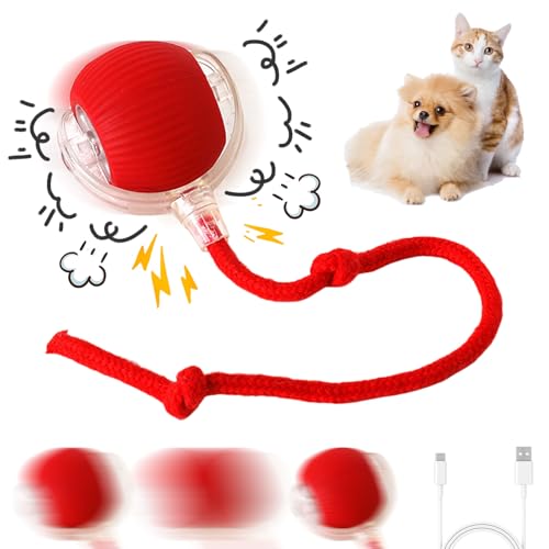 CRGANGZY Interaktives Katzenspielzeug Katzenball, Elektrisch Katzenspielzeug Katzenball mit USB Aufladbar, 360° Automatisch Rollender Katzenspielzeug Ball für Katzen Hunde CRGANGZY Interaktives Katzenspielzeug Katzenball, Elektrisch Katzenspielzeug Katzenball mit USB Aufladbar, 360° Automatisch Rollender Katzenspielzeug Ball für Katzen Hunde von CRGANGZY