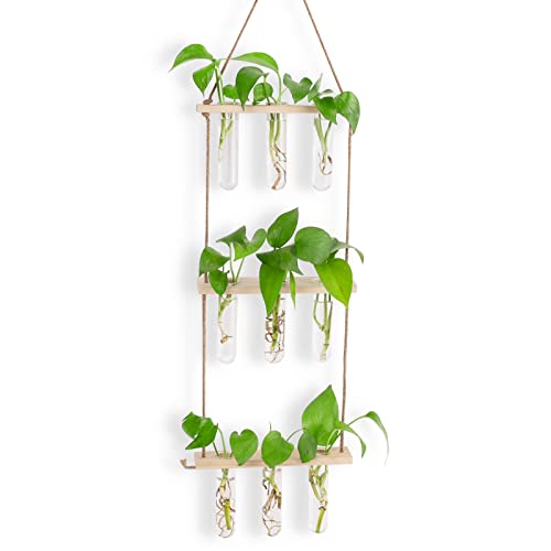 Terrarium-Kit Vermehrungsstation für Hydroponik-Pflanzen-3-stöckige hängende Glasterrarium-Pflanzenwand mit 7 Reagenzgläsern 3 Nicht abfärbenden Nägeln (natürliche Holzfarbe) von CRITIVE-SHOP