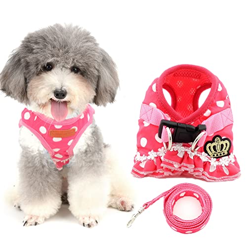 Gepunktetes Mädchen-Set aus Geschirr und Leine for kleine Hunde, kein Ziehen, niedliches Prinzessinnen-Westengeschirr for Welpen, Katzen, Yorkie, Chihuahua, Schwarz, Größe L/6/570 (Color : Pink_L(Ch von CROKZ