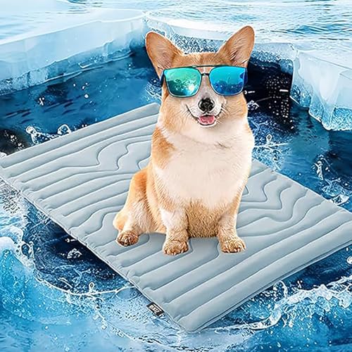 CRTZHA Barkley Kühlmatte, Barkley Hundekühlkissen, Opticnock Hundekühlmatte, Haustierkühlkissen für Katzen, tragbare selbstkühlende Matte für Haustiere, Sommer hält Ihr Haustier kühl (Blue,M) CRTZHA Barkley Kühlmatte, Barkley Hundekühlkissen, Opticnock Hundekühlmatte, Haustierkühlkissen für Katzen, tragbare selbstkühlende Matte für Haustiere, Sommer hält Ihr Haustier kühl (Blue,M) von CRTZHA