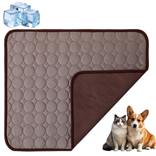 Kittra Cooling Mat for Cats, Kittra Cooling Mat Indoor, 𝐂ooling 𝐌at for Dogs, Pet 𝐂ooling 𝐌at, Cool and Healthy 𝐂ooling Bed 𝐟or Pet, Keep Your 𝐏et Cool and Comfy (Gray,XS) von CRTZHA