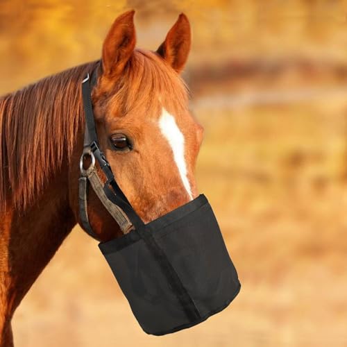 CSARPECT Heubeutel für Pferde, Langsames Füttern Heutasche- Nylon Dicker Verstellbarer Mesh Futterbeute Ziegen Futterbeutel Ponys Futtersack, für Artgerechte Fütterung, Verbessert Verdauung (Black,S) CSARPECT Heubeutel für Pferde, Langsames Füttern Heutasche- Nylon Dicker Verstellbarer Mesh Futterbeute Ziegen Futterbeutel Ponys Futtersack, für Artgerechte Fütterung, Verbessert Verdauung (Black,S) von CSARPECT