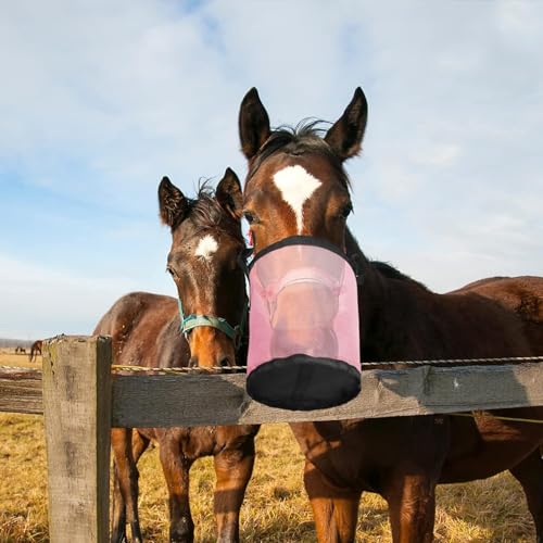 CSARPECT Heubeutel für Pferde, Langsames Füttern Heutasche- Nylon Dicker Verstellbarer Mesh Futterbeute Ziegen Futterbeutel Ponys Futtersack, für Artgerechte Fütterung, Verbessert Verdauung (Pink,M) CSARPECT Heubeutel für Pferde, Langsames Füttern Heutasche- Nylon Dicker Verstellbarer Mesh Futterbeute Ziegen Futterbeutel Ponys Futtersack, für Artgerechte Fütterung, Verbessert Verdauung (Pink,M) von CSARPECT
