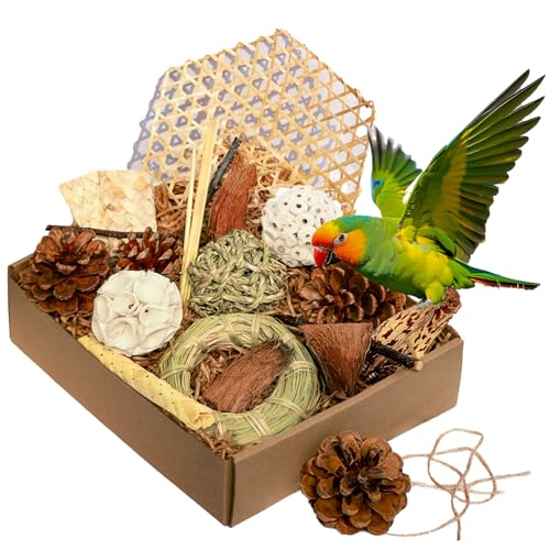 CSCHENGO Natürliches Kauspielzeug für Papageien, Futtersuche, Sittiche, Spielzeug für Nymphensittiche, Sittiche, Sittiche, Wellensittiche, Aras, kleine und mittelgroße Vögel von CSCHENGO