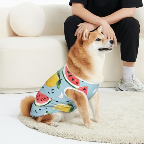 CSIVKEJ Haustierbekleidung für Katzen und Hunde, mit Wassermelonen-Druck, weich, niedlich, für kleine und mittelgroße Hunde CSIVKEJ Haustierbekleidung für Katzen und Hunde, mit Wassermelonen-Druck, weich, niedlich, für kleine und mittelgroße Hunde von CSIVKEJ
