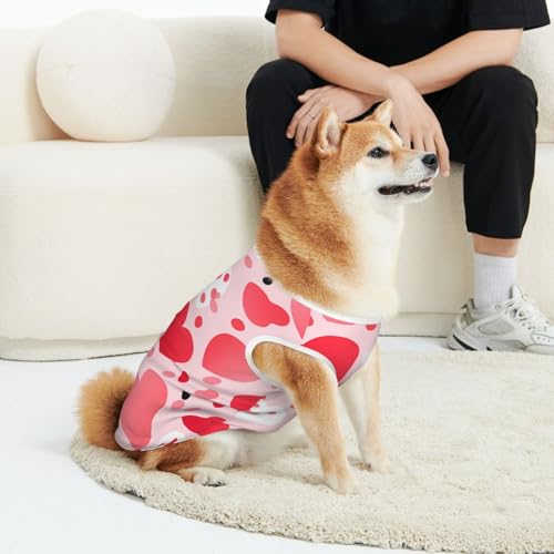 CSIVKEJ Haustierbekleidung für Katzen und Hunde, weich, niedlich, für kleine und mittelgroße Hunde CSIVKEJ Haustierbekleidung für Katzen und Hunde, weich, niedlich, für kleine und mittelgroße Hunde von CSIVKEJ