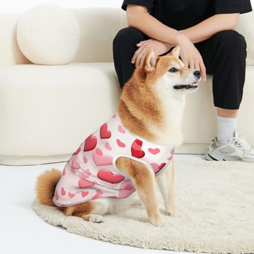 CSIVKEJ Haustierbekleidung für Katzen und Hunde, weich, niedlich, für kleine und mittelgroße Hunde CSIVKEJ Haustierbekleidung für Katzen und Hunde, weich, niedlich, für kleine und mittelgroße Hunde von CSIVKEJ