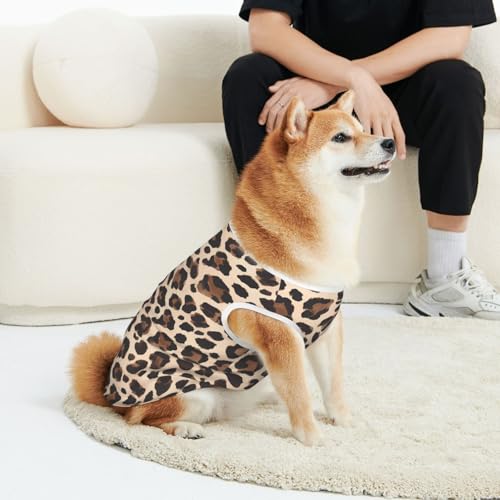 CSIVKEJ Hunde-T-Shirt für Katzen und Hunde, weich, niedlich, für kleine und mittelgroße Hunde, Braun / Schwarz CSIVKEJ Hunde-T-Shirt für Katzen und Hunde, weich, niedlich, für kleine und mittelgroße Hunde, Braun / Schwarz von CSIVKEJ