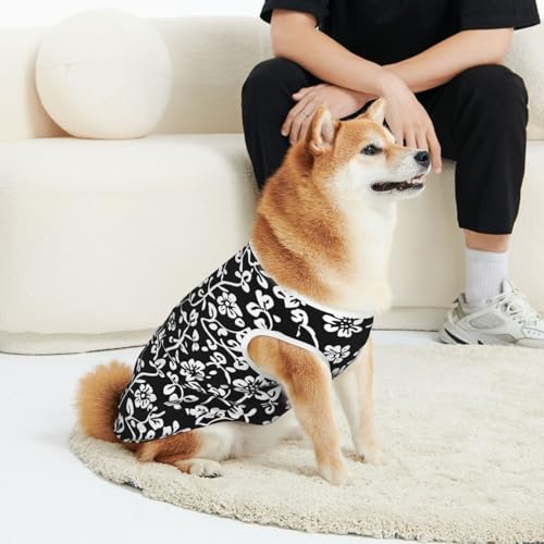CSIVKEJ Hunde-T-Shirt für Katzen und Hunde, weich, niedlich, für kleine und mittelgroße Hunde, Schwarz CSIVKEJ Hunde-T-Shirt für Katzen und Hunde, weich, niedlich, für kleine und mittelgroße Hunde, Schwarz von CSIVKEJ