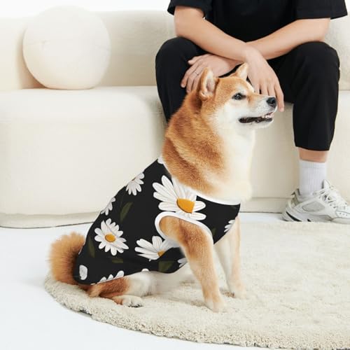 CSIVKEJ Hunde-T-Shirt mit einfachem Gänseblümchen-Aufdruck, für Katzen und Hunde, weich, niedlich, für kleine und mittelgroße Hunde CSIVKEJ Hunde-T-Shirt mit einfachem Gänseblümchen-Aufdruck, für Katzen und Hunde, weich, niedlich, für kleine und mittelgroße Hunde von CSIVKEJ