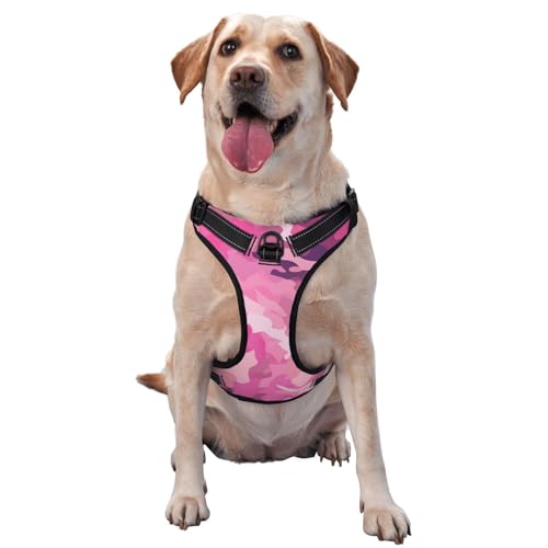 CSIVKEJ Hundegeschirr und Leine, Anti-Zieh-Leine für mittelgroße, kleine und große Hunde, reflektierend, Anti-Erstickung, Oxford-Weste mit leicht zu kontrollierendem Griff für Training oder CSIVKEJ Hundegeschirr und Leine, Anti-Zieh-Leine für mittelgroße, kleine und große Hunde, reflektierend, Anti-Erstickung, Oxford-Weste mit leicht zu kontrollierendem Griff für Training oder von CSIVKEJ