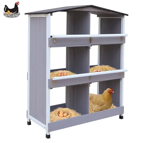 Hühner Nistkasten, 6 Loch Nistkasten zum Eierlegen, Massivholz Nistkästen für Hühner, Hühner und Geflügel zum Sammeln von Eiern, Große Belüftungslöcher Nistkästen für Hühnerstall Hühner Nistkasten, 6 Loch Nistkasten zum Eierlegen, Massivholz Nistkästen für Hühner, Hühner und Geflügel zum Sammeln von Eiern, Große Belüftungslöcher Nistkästen für Hühnerstall von CSQOO
