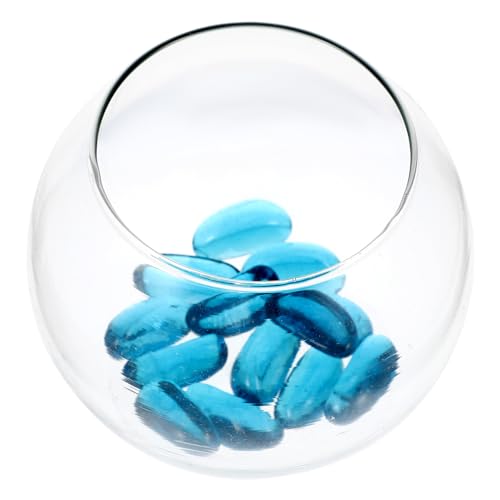 1 x rundes Glasfischtank, transparentes Aquarium, Mini-Pflanztöpfe, Aquarium-Zubehör von CSXMONEY