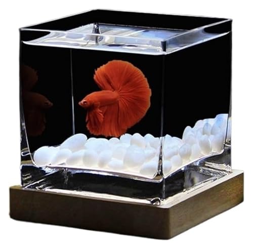 CSYQPDMBDL Kugelaquarium, Goldfischglas, Durchscheinendes Glas-Aquarium mit Deckel, kleines Fischglas for den Schreibtisch von CSYQPDMBDL