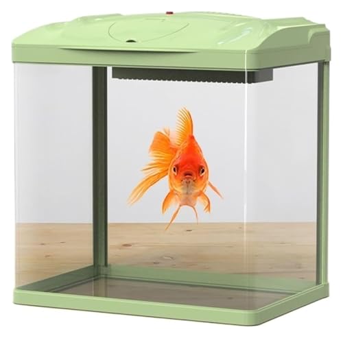 CSYQPDMBDL Kugelaquarium, Goldfischglas, Fischglas-Glastank mit LED-Leuchten, Kleiner Heimtank mit Wasserpumpe, Aquarien von CSYQPDMBDL
