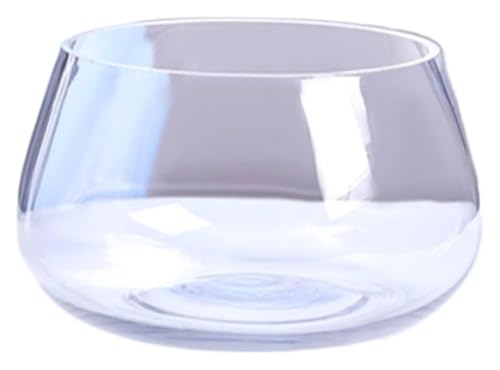 CSYQPDMBDL Kugelaquarium, Goldfischglas, Fischschale Kleines Haus Transparentes Aquarium Desktop Home Schildkrötenbecken Wasser Pflanzen Aquarien(Large) von CSYQPDMBDL
