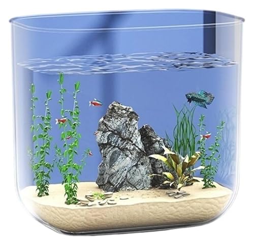 CSYQPDMBDL Kugelaquarium, Goldfischglas, Fischschale Wohnzimmer Kleines transparentes Acryl-Desktop-Aquarium Schildkrötenbecken ohne Rand Aquarien von CSYQPDMBDL