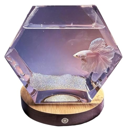 CSYQPDMBDL Kugelaquarium, Goldfischglas, Mit Basis Fünfeckigen Transparent Glas Kleine Fisch Tank Wohnzimmer Desktop Dekorative Ornamente CSYQPDMBDL Kugelaquarium, Goldfischglas, Mit Basis Fünfeckigen Transparent Glas Kleine Fisch Tank Wohnzimmer Desktop Dekorative Ornamente von CSYQPDMBDL