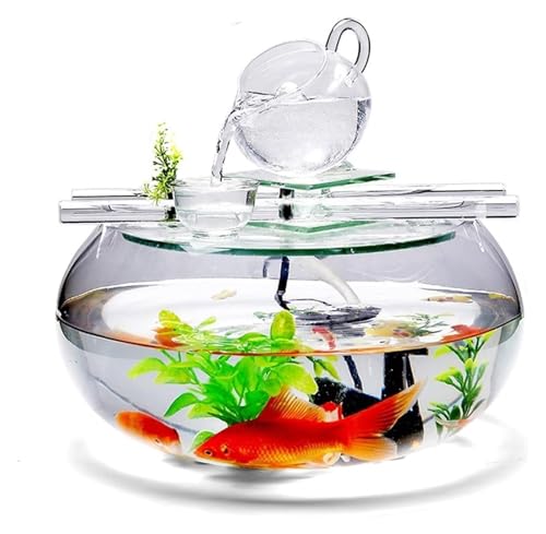 CSYQPDMBDL Kugelaquarium, Goldfischglas, Rundes Glasbüro-Zuhause-Desktop-Dekoration Transparentes Glas-Aquarium von CSYQPDMBDL