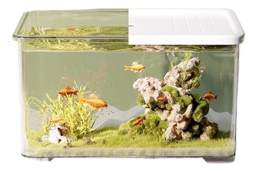 CSYQPDMBDL Kugelaquarium, Goldfischglas, Transparentes Acryl-Aquarium mit Schiebedeckel, kleines Wohnzimmer-Desktop-Aquarium, Schildkrötenbecken(White) von CSYQPDMBDL