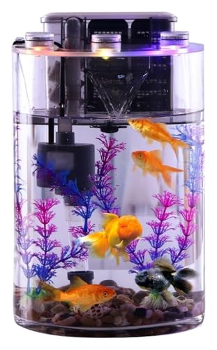 CSYQPDMBDL Kugelaquarium, Goldfischglas, Verdicktes kleines Aquarium mit Filterpumpe und LED-Leuchten, einfache Aquarien von CSYQPDMBDL
