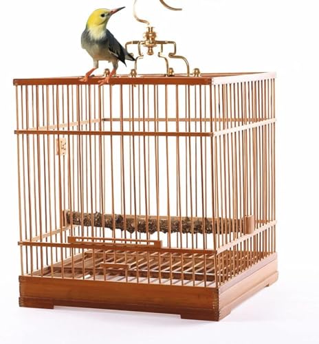 Vogelkäfig, Vogelkäfig, zum Aufhängen, einfache Reinigung, Gartendekoration Vogelkäfig, Vogelkäfig, zum Aufhängen, einfache Reinigung, Gartendekoration von CSYQPDMBDL