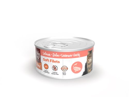Hobby First Nassfutter für Katzen, 100 % natürlich, verschiedene Geschmacksrichtungen, 12 x 70 g, (12 x 70 g, Lachs) von CT-TRONICS
