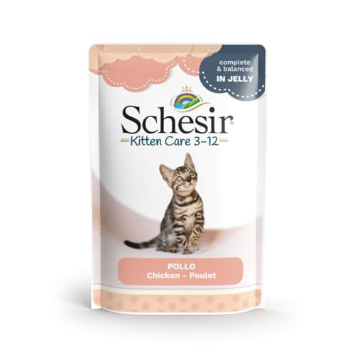 Schesir Kitten Nassfutter für Katzen von 0 bis 1 Jahr (Geliertes Huhn auf 20 x 85 g) von CT-TRONICS