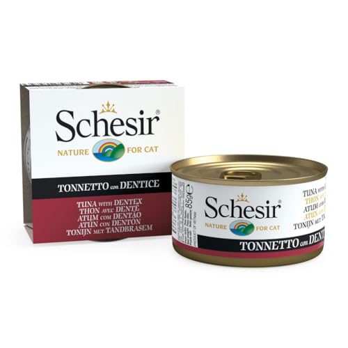 Schesir | in Gelee | verschiedene Geschmacksrichtungen | 14 x 85 g | (14 x 85 g, Thunfisch mit Denton in Gelee) von CT-TRONICS