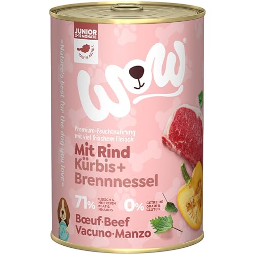 Wow Nassfutter für Hunde, verschiedene Geschmacksrichtungen, 6 x 400 g, Rindfleisch mit Kürbis von CT-TRONICS