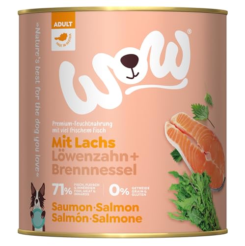 Wow Nassfutter für Hunde, verschiedene Geschmacksrichtungen, 6 x 800 g, (Lachs mit Löwenzahn) von CT-TRONICS