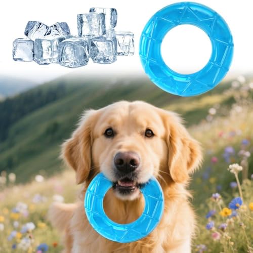 CTDWNT Kühlendes Kauspielzeug für Hunde, kühlendes Kauspielzeug für Welpen, Beißring, Gefrierspielzeug für den Sommer, Eiszahnspielzeug für Welpen CTDWNT Kühlendes Kauspielzeug für Hunde, kühlendes Kauspielzeug für Welpen, Beißring, Gefrierspielzeug für den Sommer, Eiszahnspielzeug für Welpen von CTDWNT
