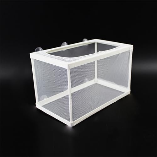 Breeding Box, Schwimmende Laichkasten, Aquarium Fische Brutkasten, Geeignet für Aquarien, isolieren Sie Sämlinge und unterstützen Sie die Inkubation und Reproduktion(Weiß) von CTForest