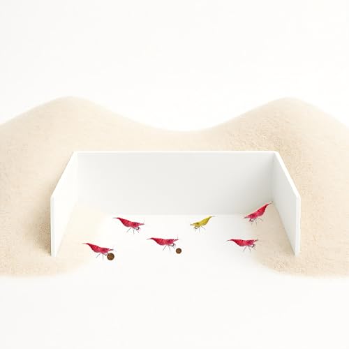 CTWPets Aquarium-Futterbarriere – Bodenrückhaltewand für Garnelen, Schnecken und Pleco | blanker Boden für einfache Fütterung und Reinigung (weiß) von CTWPets