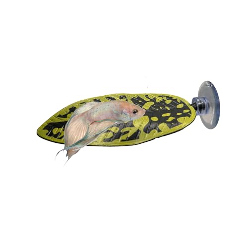 CTWPets Betta Fischhängematte, Aquarium Laubauflage, Aquarium Betta Hide (Grün) von CTWPets