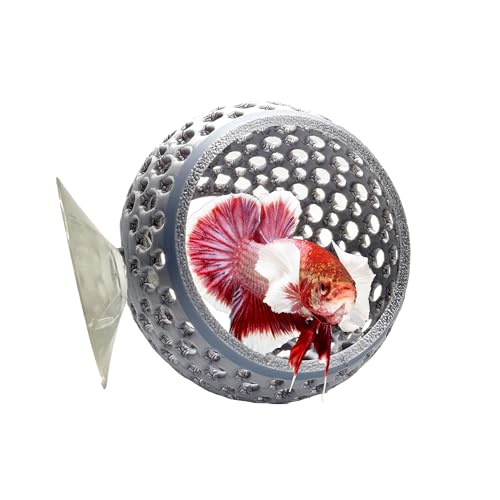 CTWPets Natürliches Betta-Zwiebelversteck, Betta-Ruhe, Aquarium-Höhle mit Saugnapf für kleines Aquarium, Betta-Lebensraum, Garnelenversteck (Silber) von CTWPets