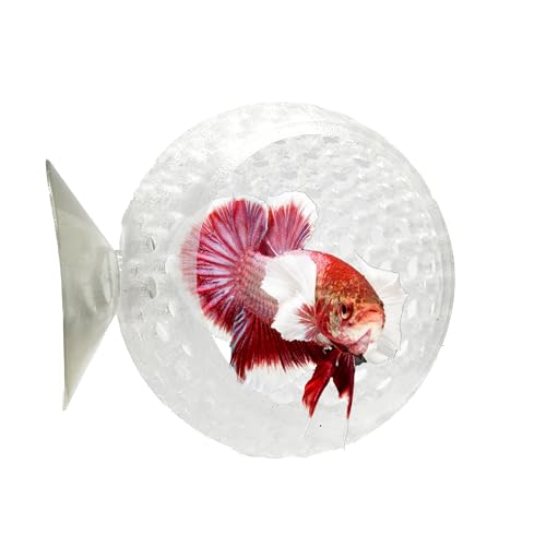 CTWPets Natürliches Betta-Zwiebelversteck, Betta-Ruhe, Aquarium-Höhle mit Saugnapf für kleines Aquarium, Betta-Lebensraum, Garnelenversteck (transparent) von CTWPets