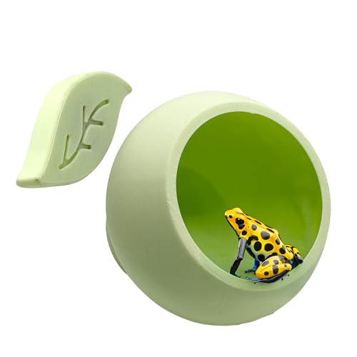 Magnetisches Laubkapselversteck, Glasunterstand für Frösche und Reptilien (Minzgrün, einzeln) von CTWPets