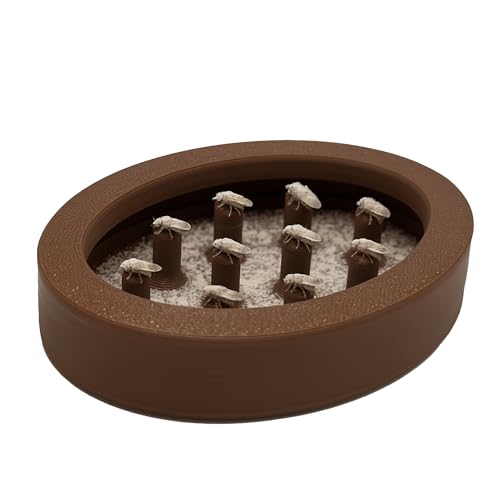 No Escape Fruchtfliegen-Futterschale für Dartfrösche, Baby-Geckos & mehr - Kalziumpulver-Basis + Easy-Clean-Design (Dunkelbraun) von CTWPets