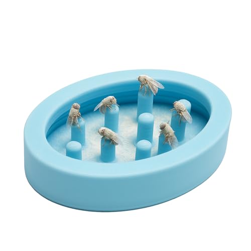No Escape Fruchtfliegen-Futterstation für Dartfrösche, Baby-Geckos & mehr – Kalziumpulver-Basis + leicht zu reinigendes Design (Babyblau) von CTWPets