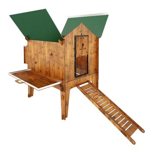Polly Classic Lift 2XL Hühnerstall für 10/12 Legehennen mit abnehmbarer Schublade, 3 Besteck, 2 Plätze, Nistkasten im Außenbereich von CUCCIOLOTTA