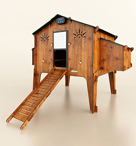 CUCCIOLOTTA Hühnerstall für 20 Legehennen + automatische Tür + Futterstation Polly Duplex 4XL Made in Italy von CUCCIOLOTTA