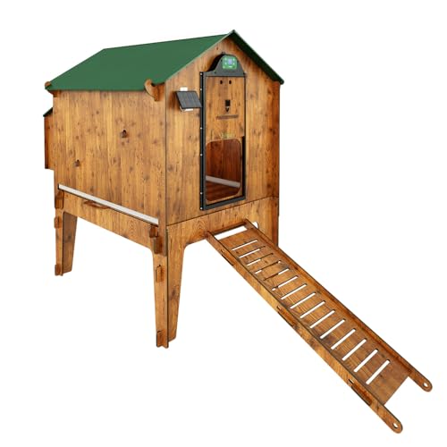 Hühnerstall mit ausziehbarer Schublade für 8 Hühner + automatische Tür + Futterstation Polly Classic Lift XL von CUCCIOLOTTA