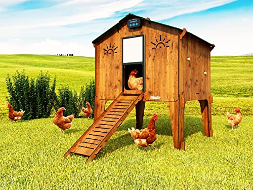 Hühnerstall für 8/10 Hühner + Futterstation + automatische Tür Polly Duplex L, hergestellt in Italien von CUCCIOLOTTA