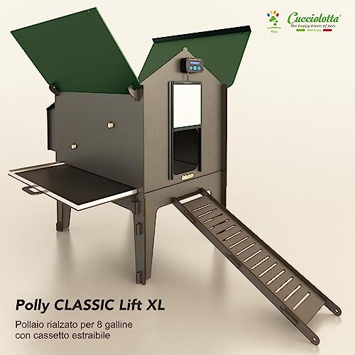 Hühnerstall für 8 Hühner mit abnehmbarer Schublade Polly Classic Lift XL Grau von CUCCIOLOTTA