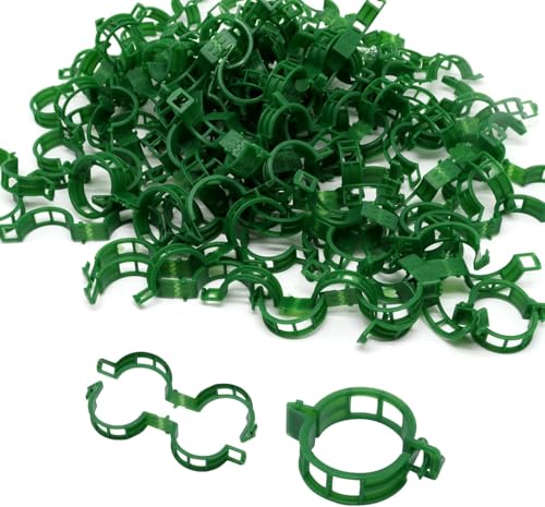 CUEMOON 200 Stück Garten- und Pflanzenhalter-Clips, sichere Clips für Pflanzen aus Kunststoff, Clips für Veredelungen im Garten, Tomaten und Gemüse CUEMOON 200 Stück Garten- und Pflanzenhalter-Clips, sichere Clips für Pflanzen aus Kunststoff, Clips für Veredelungen im Garten, Tomaten und Gemüse von CUEMOON